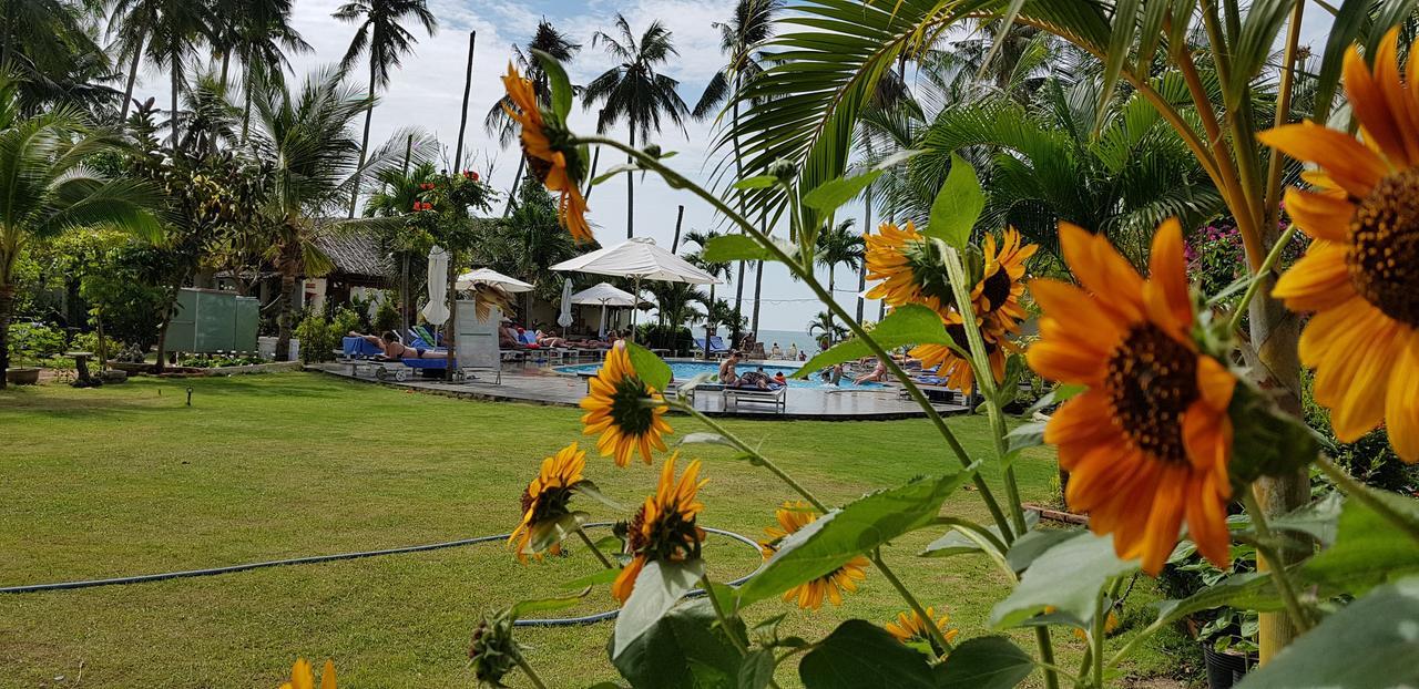 Sun & Sands Beach Hotel Mui Ne Exteriör bild